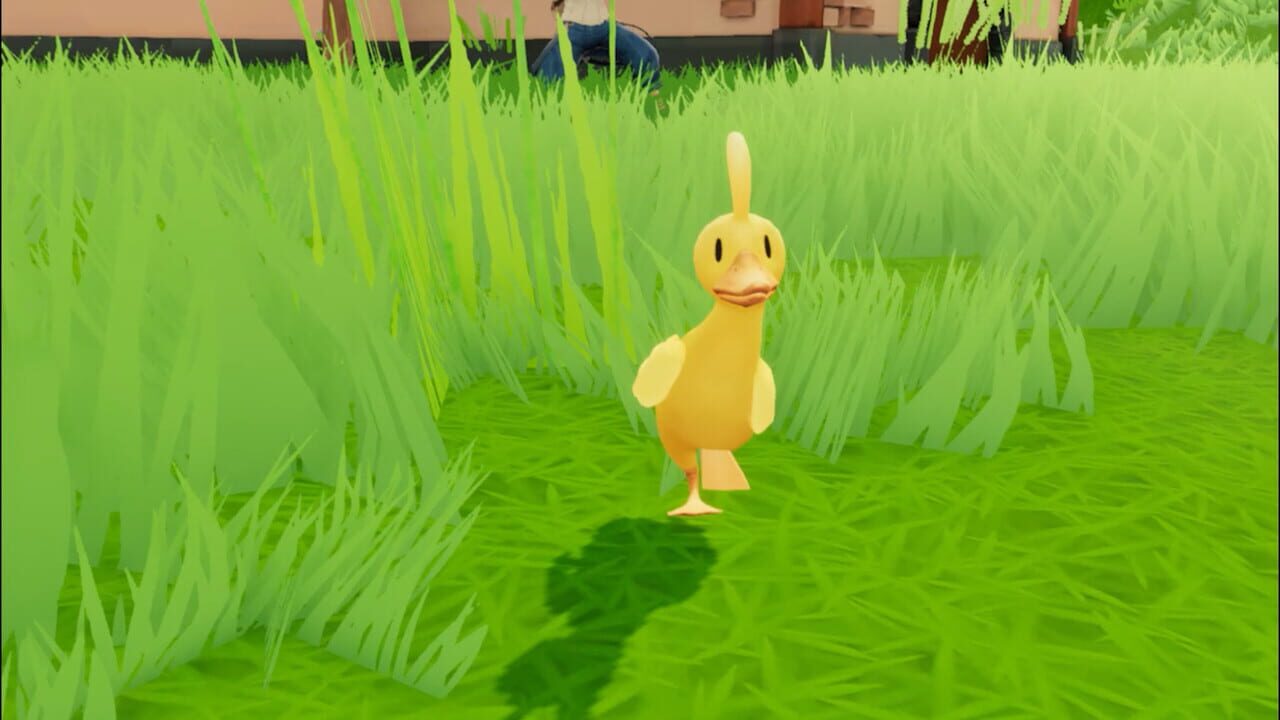 What the Duck