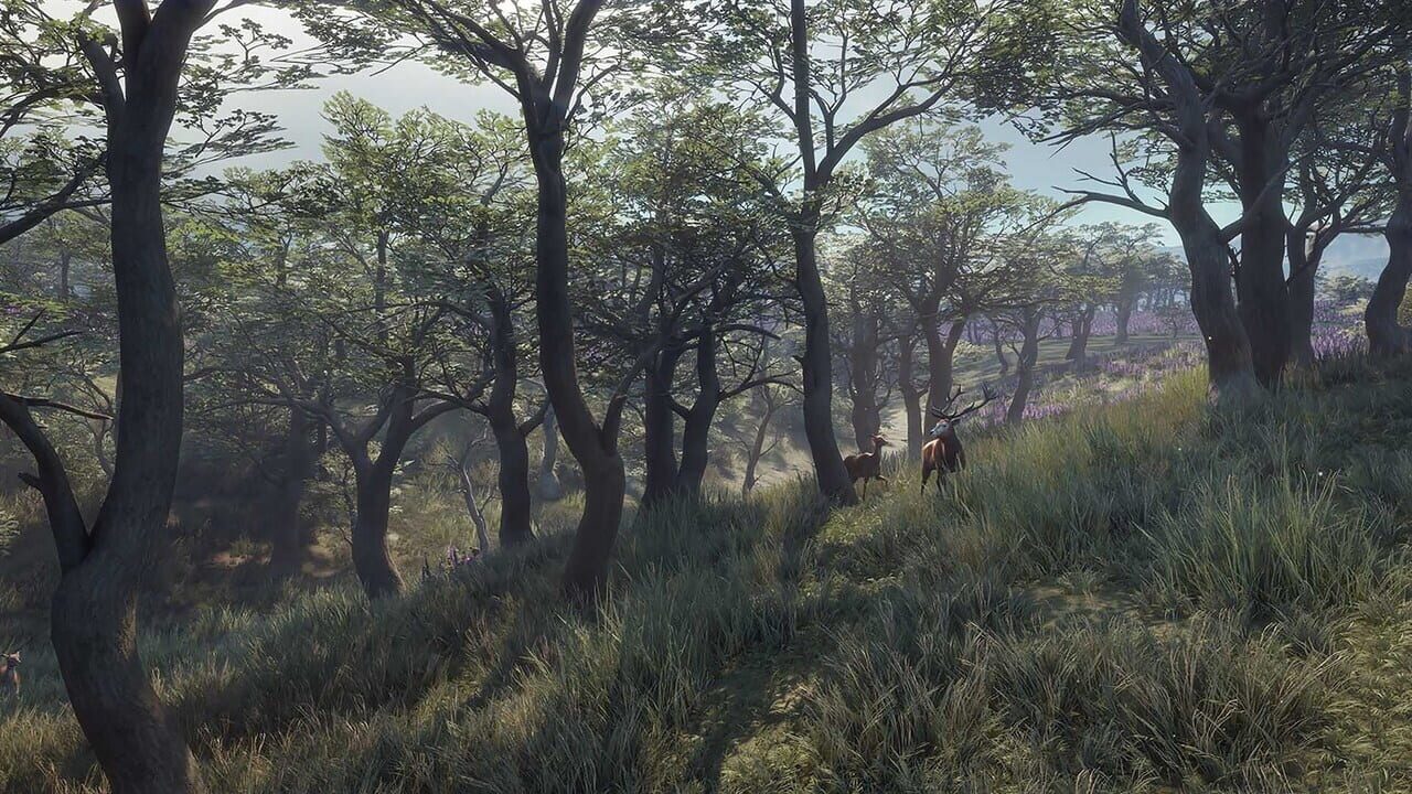 TheHunter: Call of the Wild – 2021 Edition