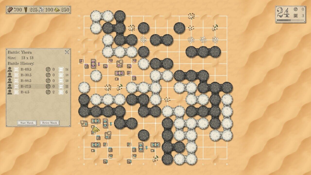The Conquest of Go