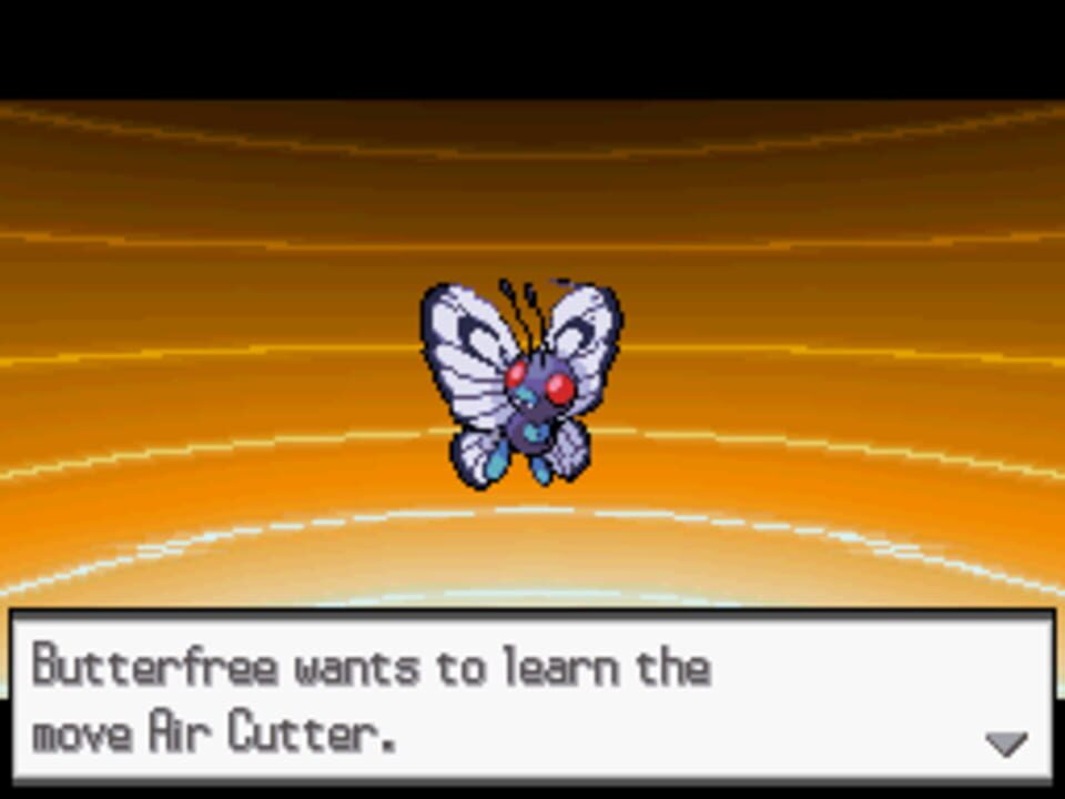 Pokémon Blaze Black