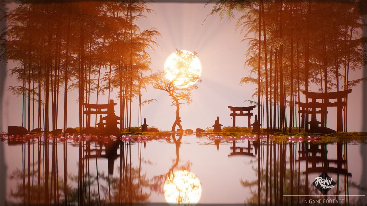 Ronin: Two Souls