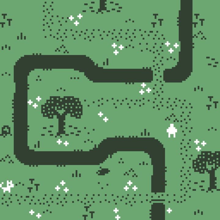 A Walk Among the Wild Garlic