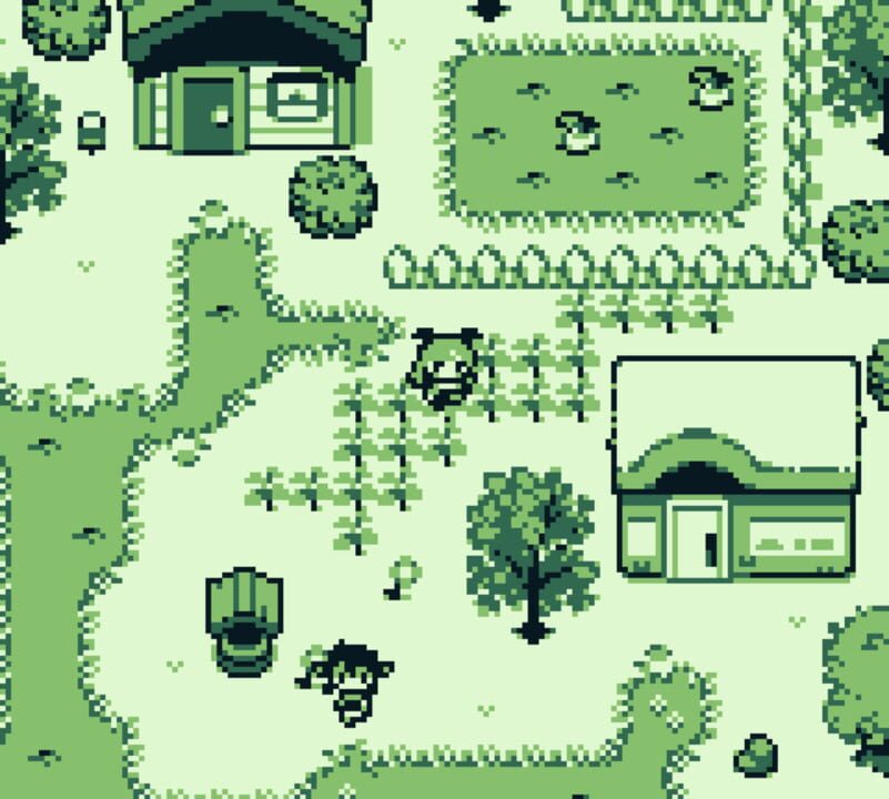 Dweller’s Empty Path