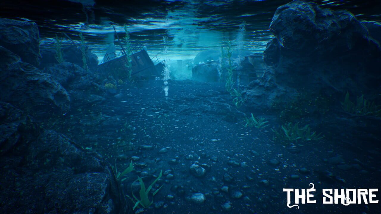 The Shore
