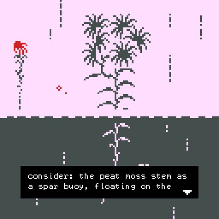 Moss as Texture as Space Folding Onto Itself