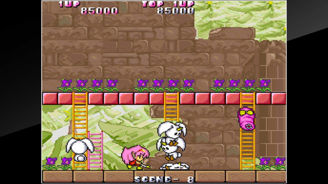 Arcade Archives: Rod Land