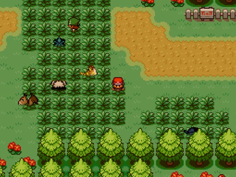 Pokémon: Blossom of the Soul