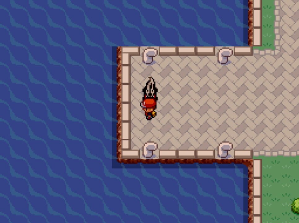 Pokémon: Blossom of the Soul