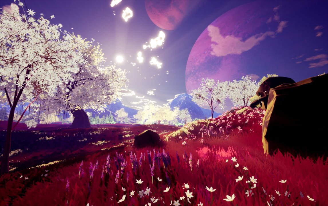 The Companion