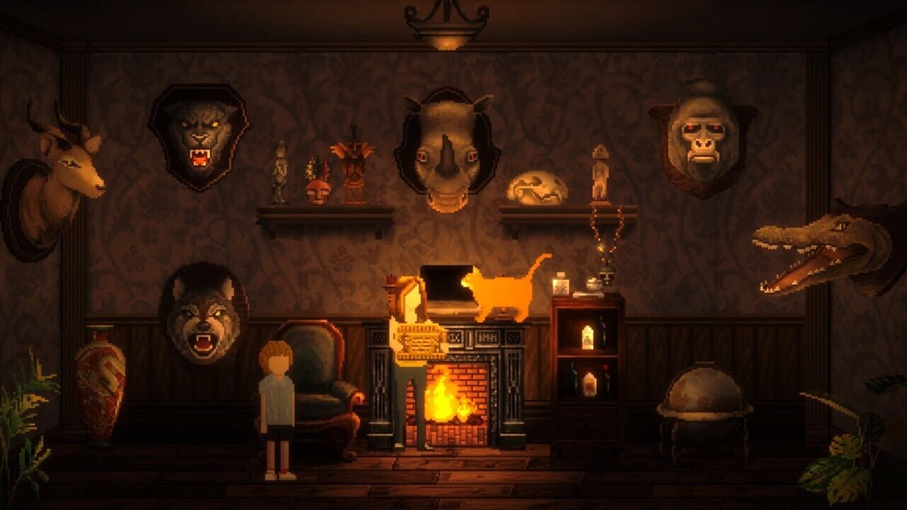 Cats and the Other Lives