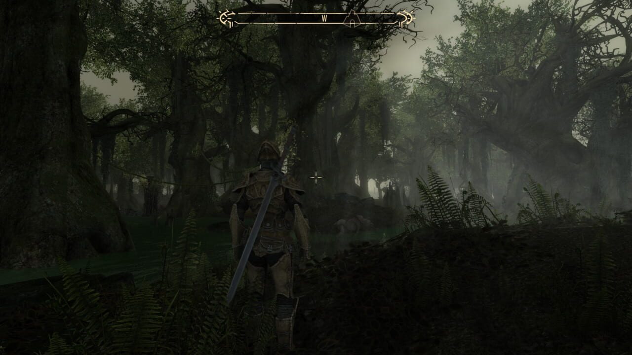 The Elder Scrolls Renewal: Skywind