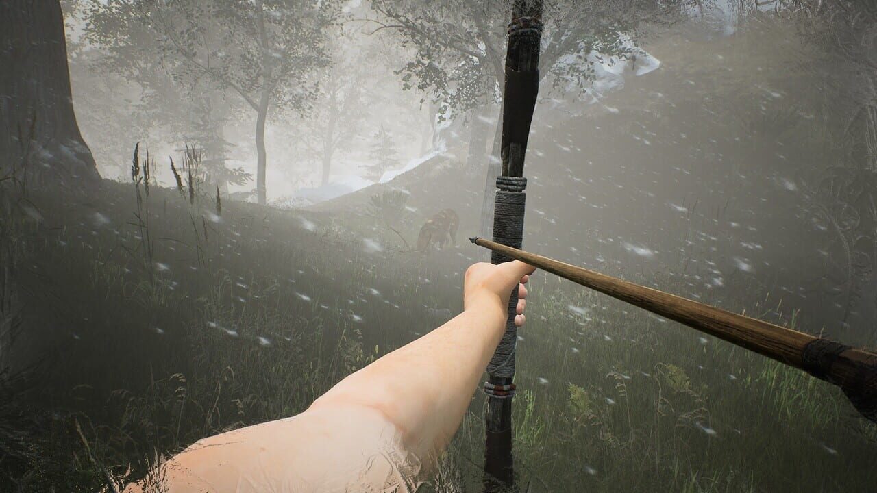 The Frost Rebirth