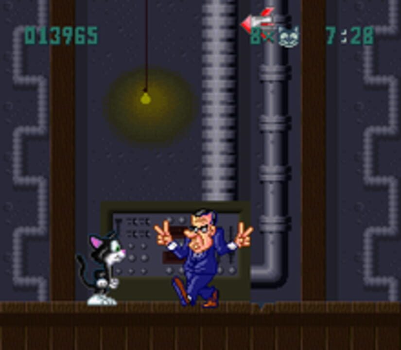 Socks the Cat Rocks the Hill