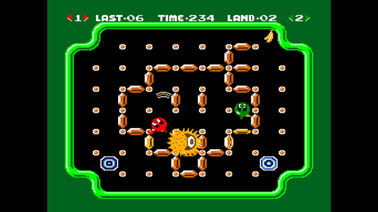 Arcade Archives: Clu Clu Land