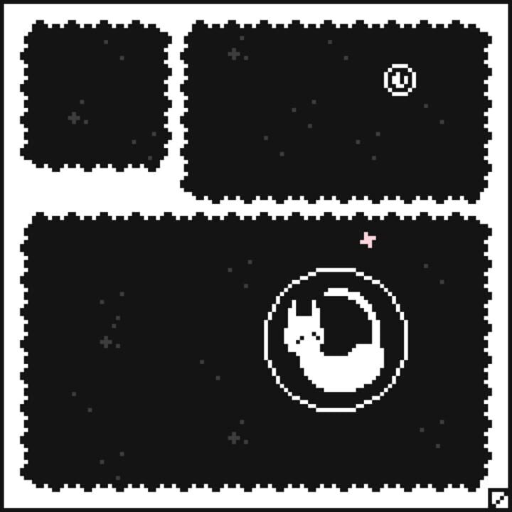 Space Bubble Cat