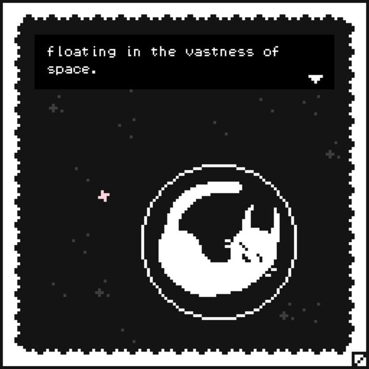 Space Bubble Cat