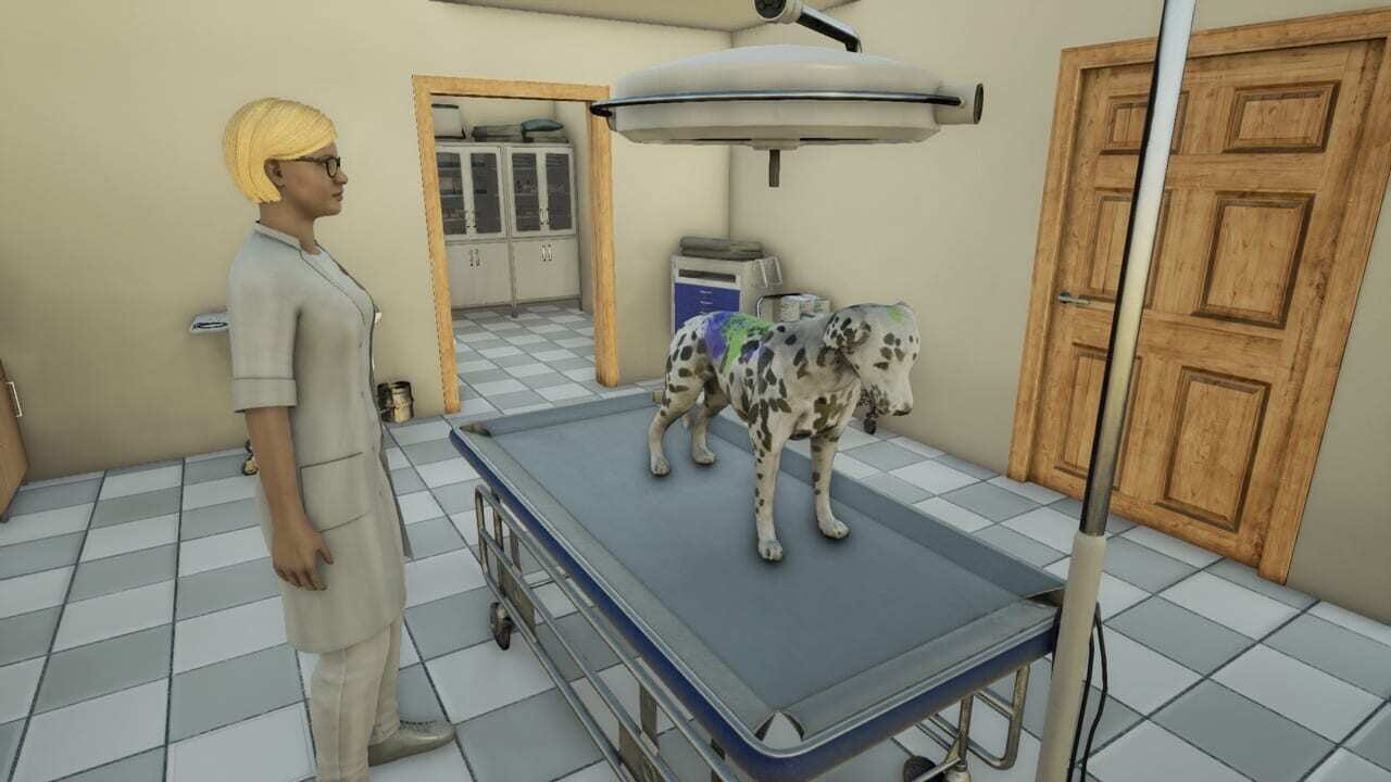 Animal Doctor