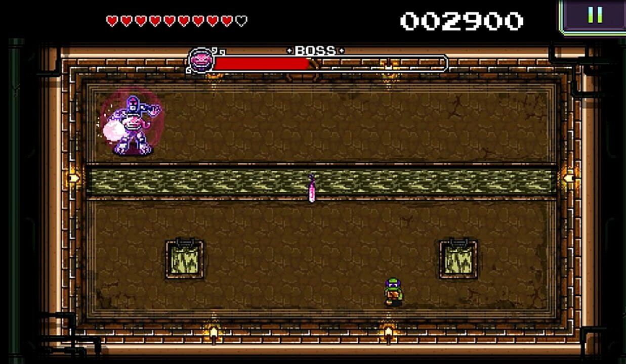 Teenage Mutant Ninja Turtles: Donnie Saves a Princess