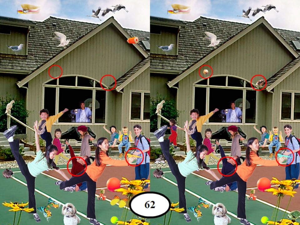 Seek and Find Collection 2