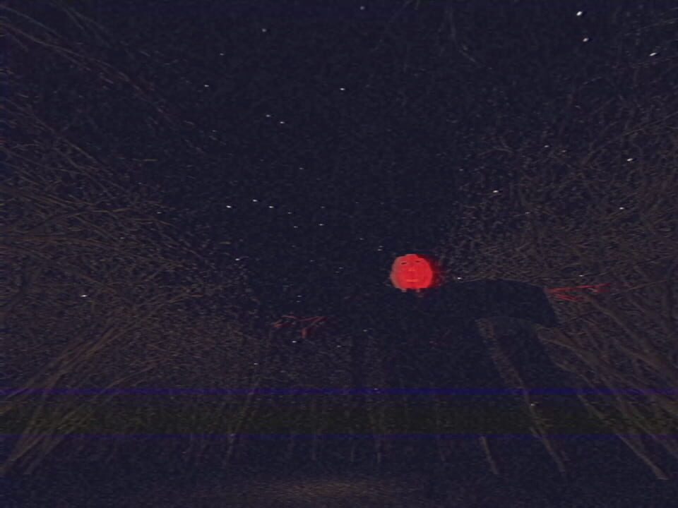 Night Dreams