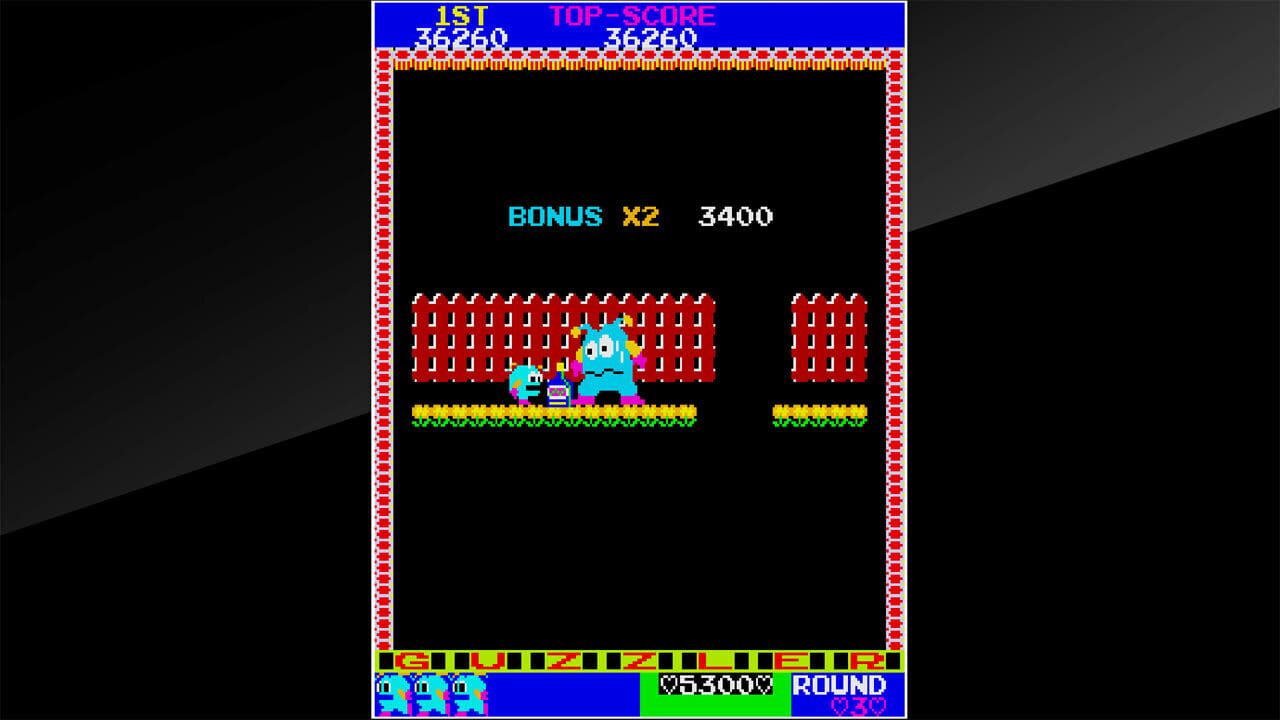 Arcade Archives: Guzzler