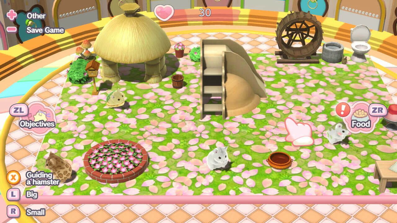 Tales of Djungarian Hamster