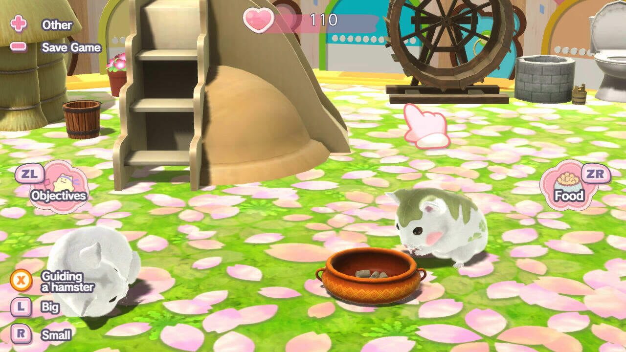 Tales of Djungarian Hamster