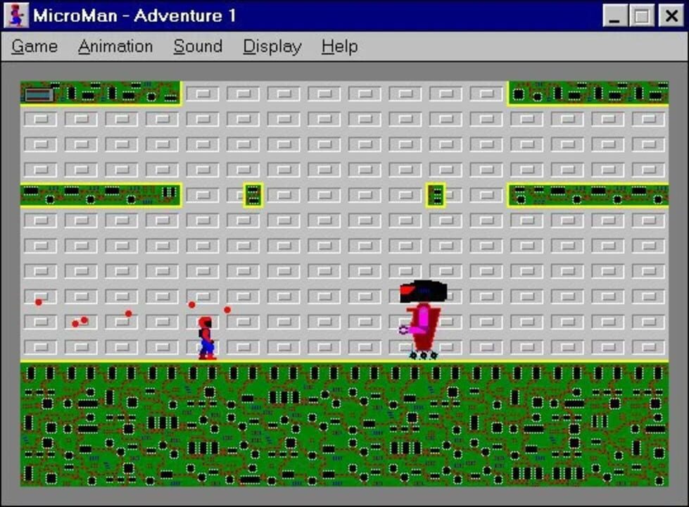 The Adventures of MicroMan