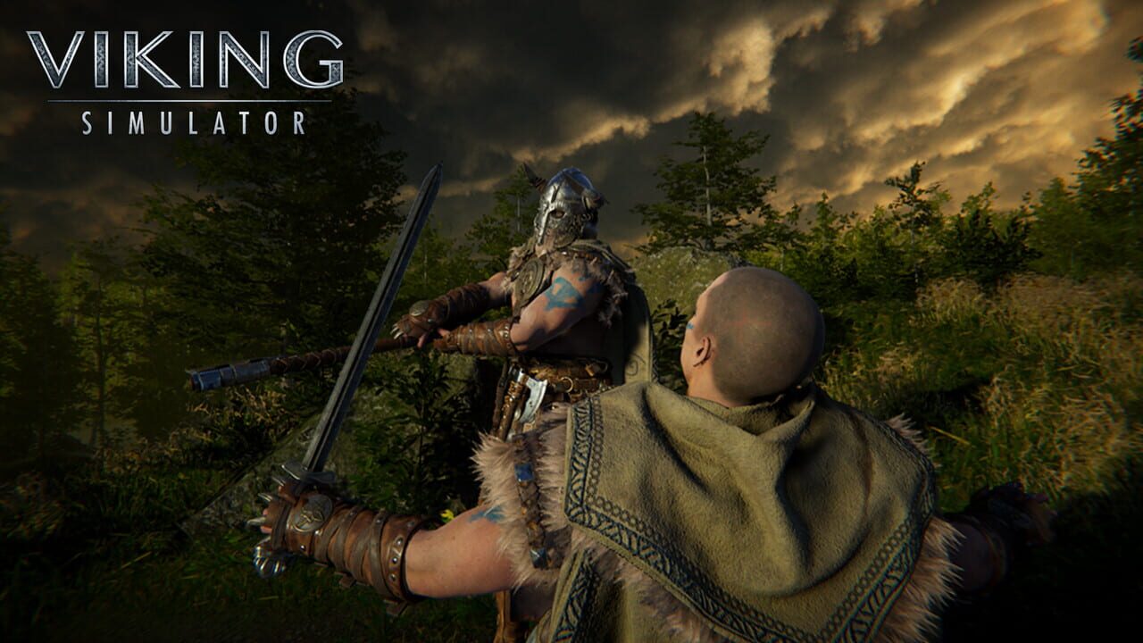 Viking Simulator
