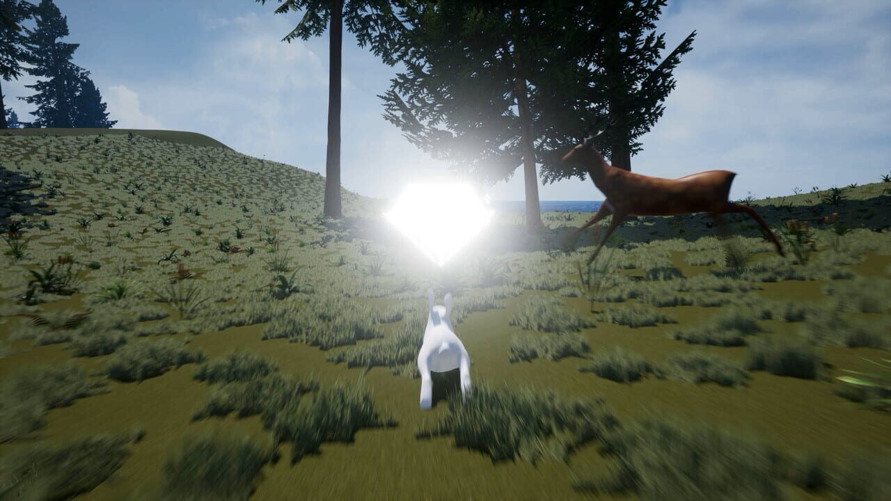 Bunny’s Buddy