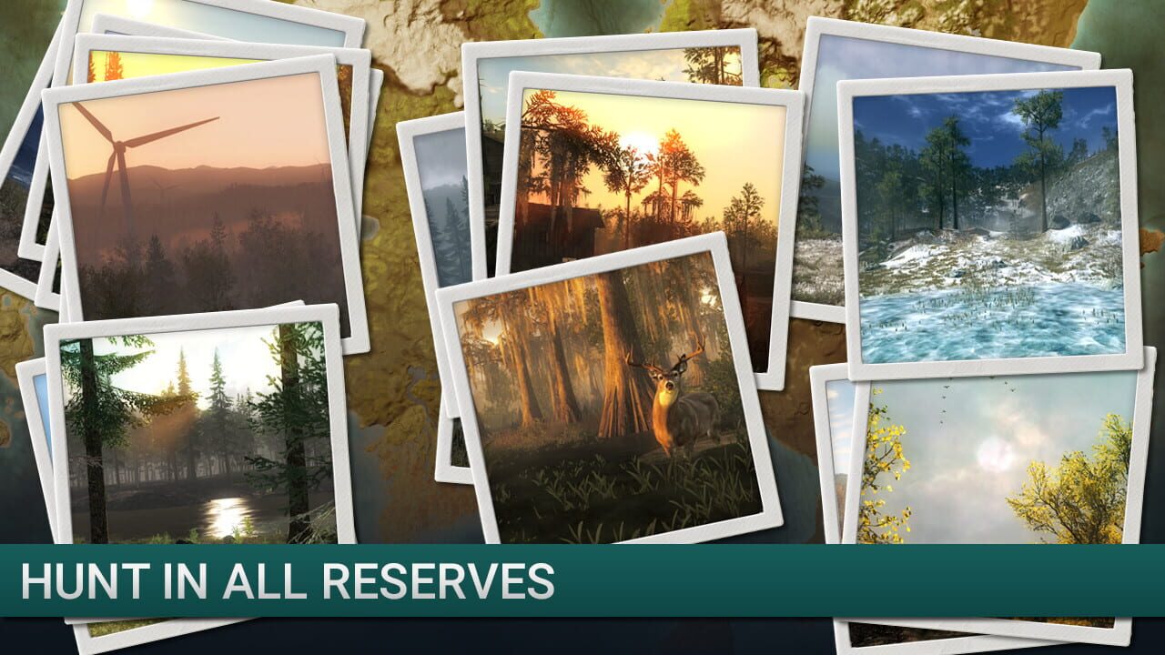 TheHunter Classic: Duck Hunter