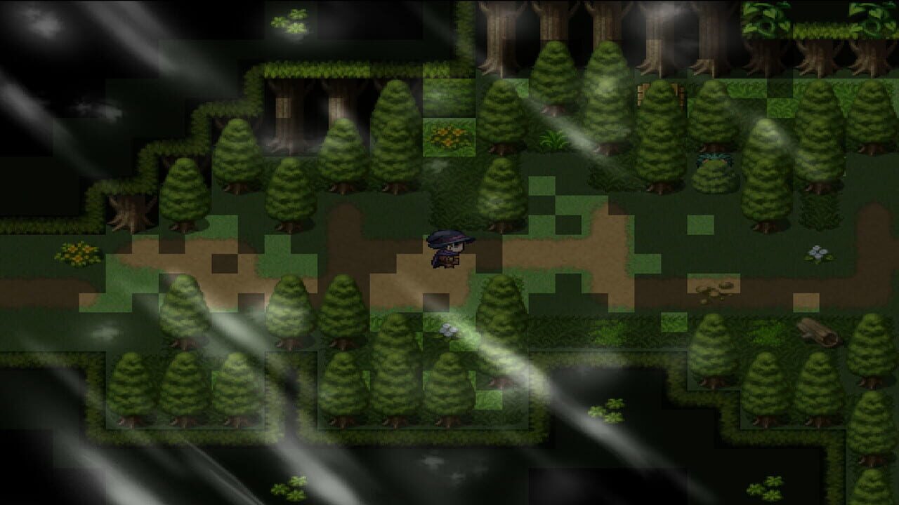 Wizard’s Quest