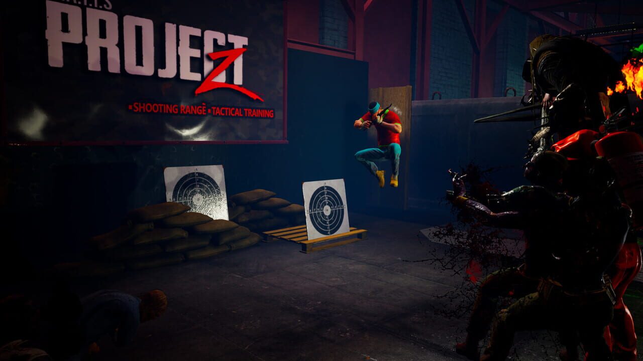 Matts Project Z Endless