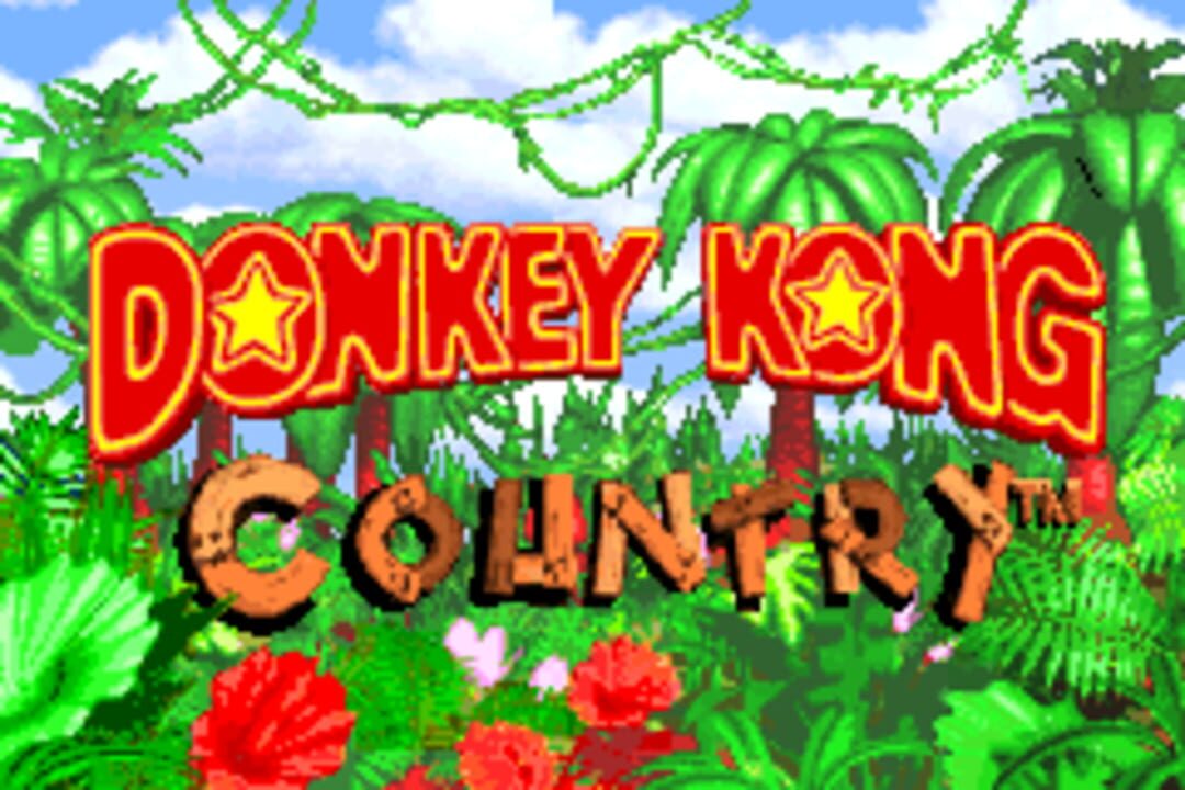 Donkey Kong Country
