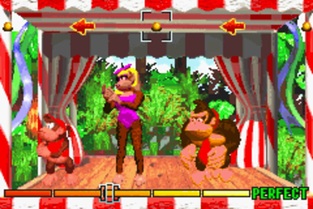 Donkey Kong Country