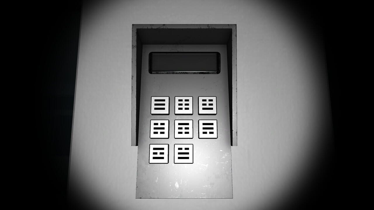 A Perfect Day for White Dolphin