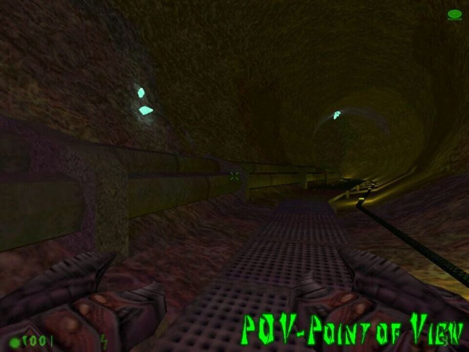 Point of View