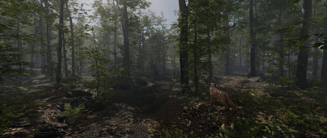 Stay Lit, Find Radio