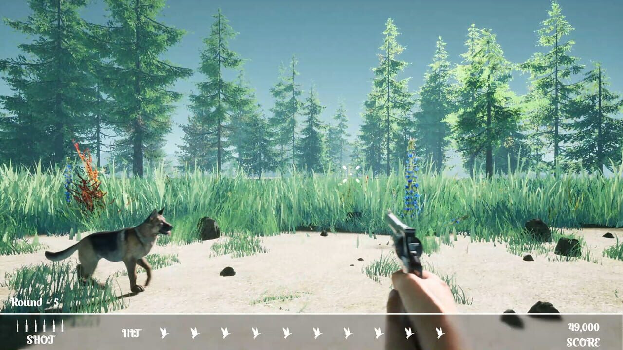 Duck Flighting