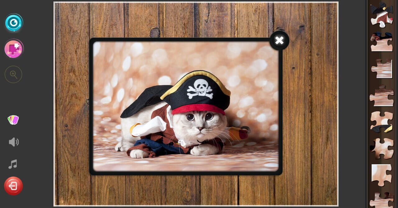 Cat’s Life Jigsaw Puzzles