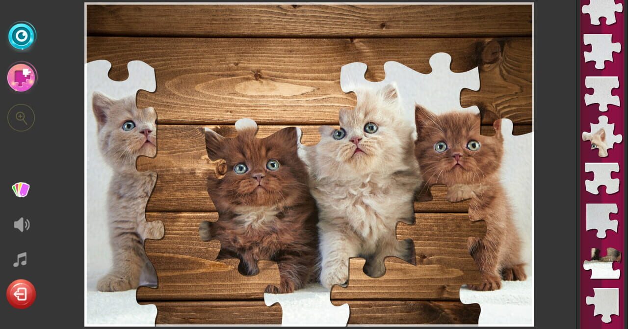 Cat’s Life Jigsaw Puzzles