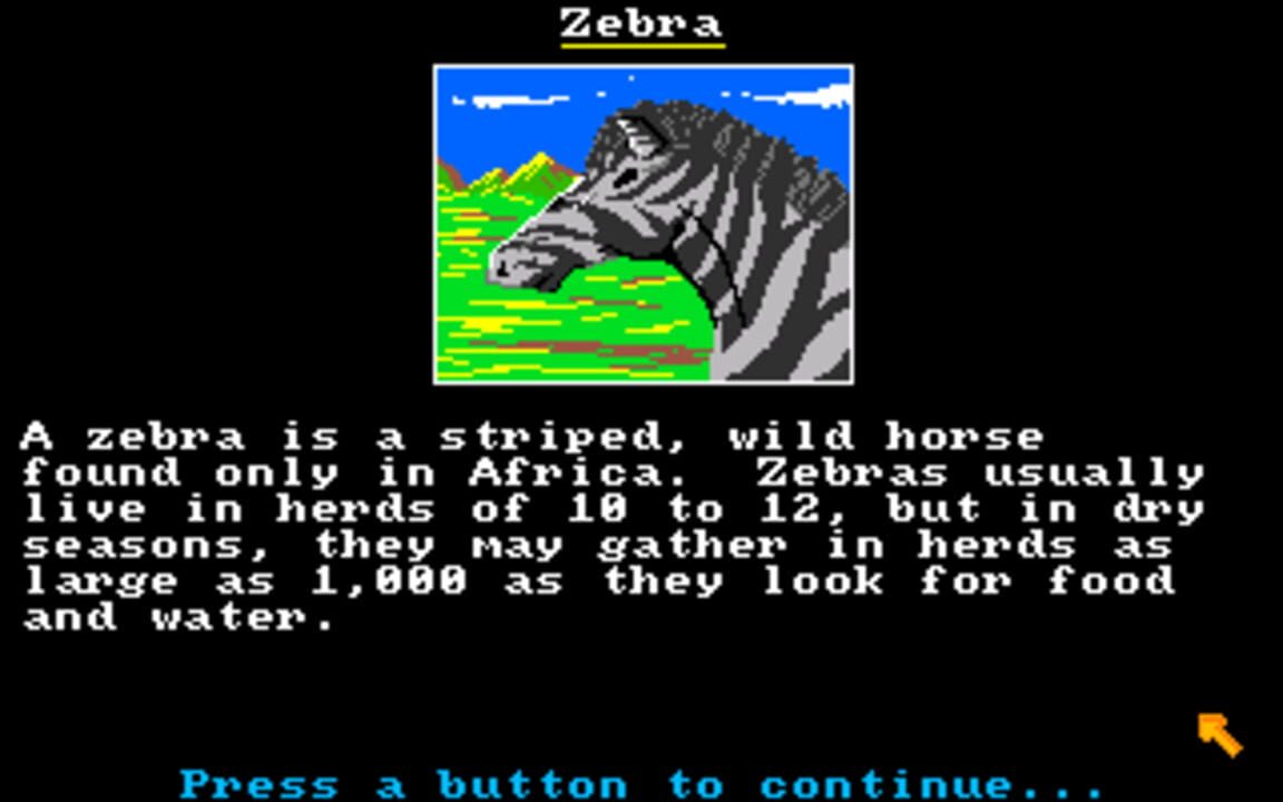 The Wonders of the Animal Kingdom