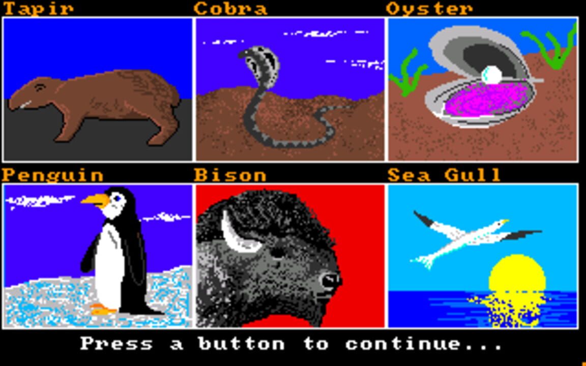 The Wonders of the Animal Kingdom