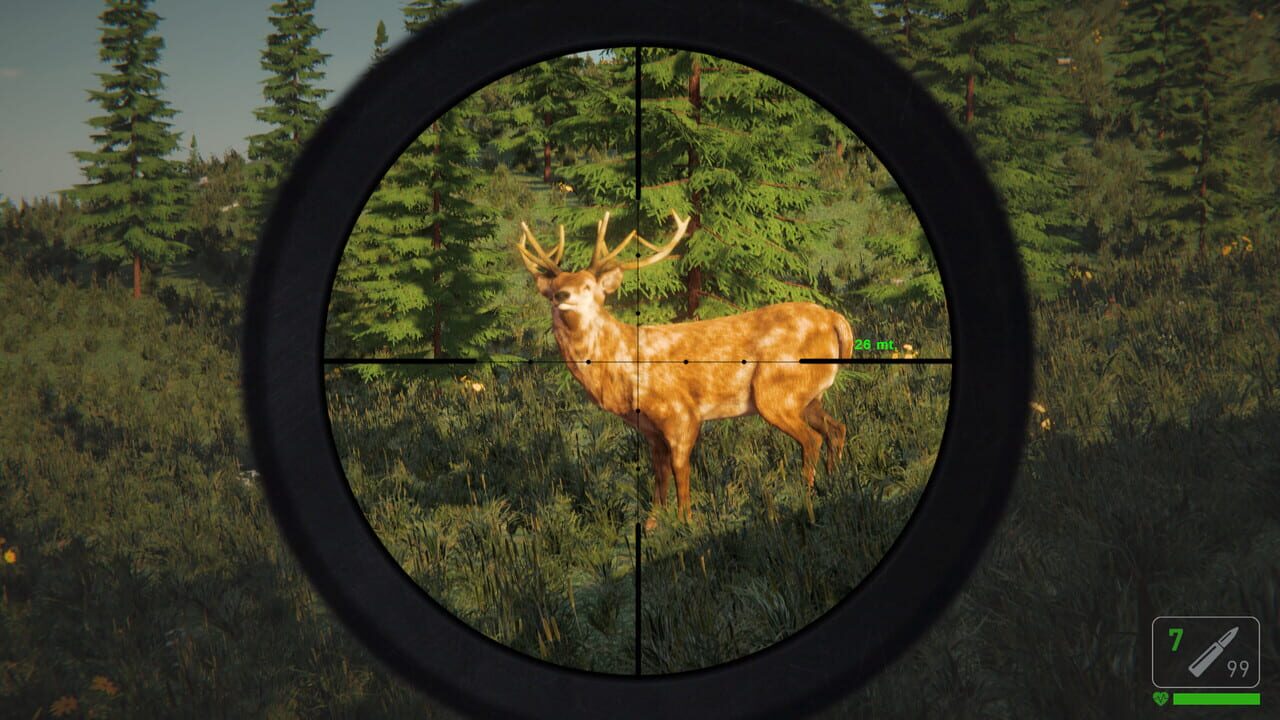 The Mountain Hunting