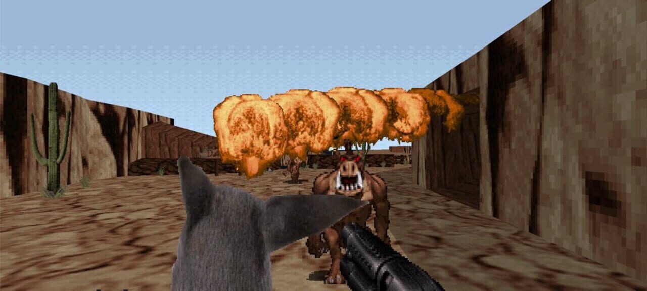Duke Nukem Forever 2013