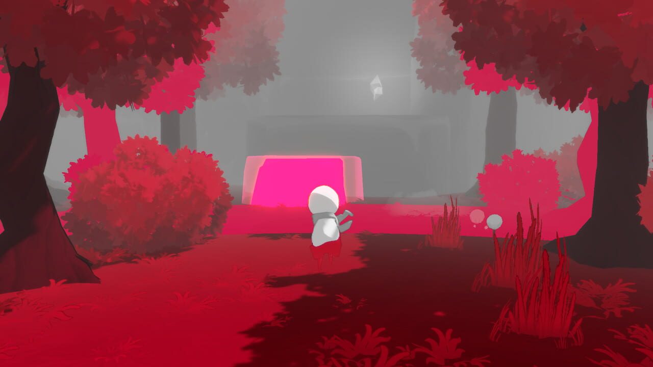 Iris: A Colorful Dream