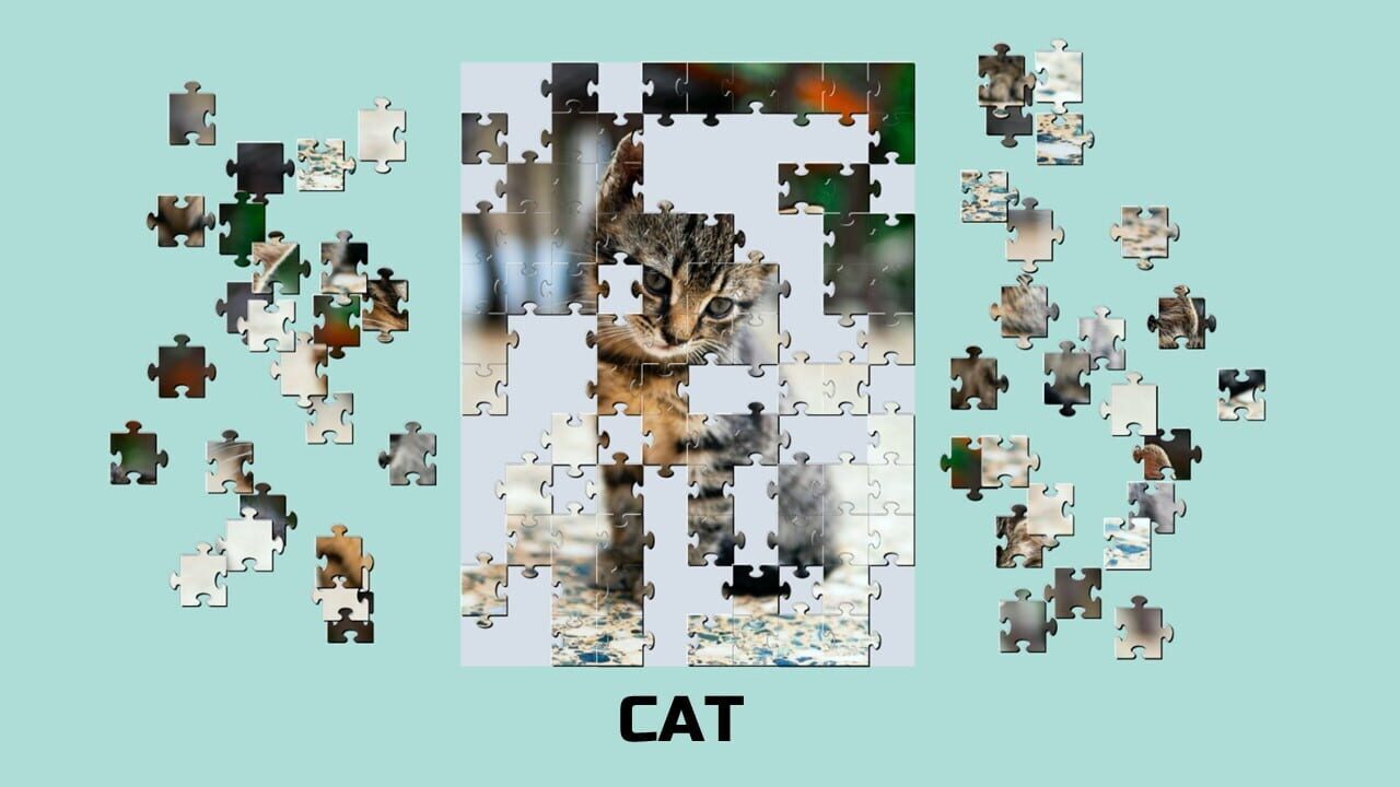 Learning jigsaw: Animals
