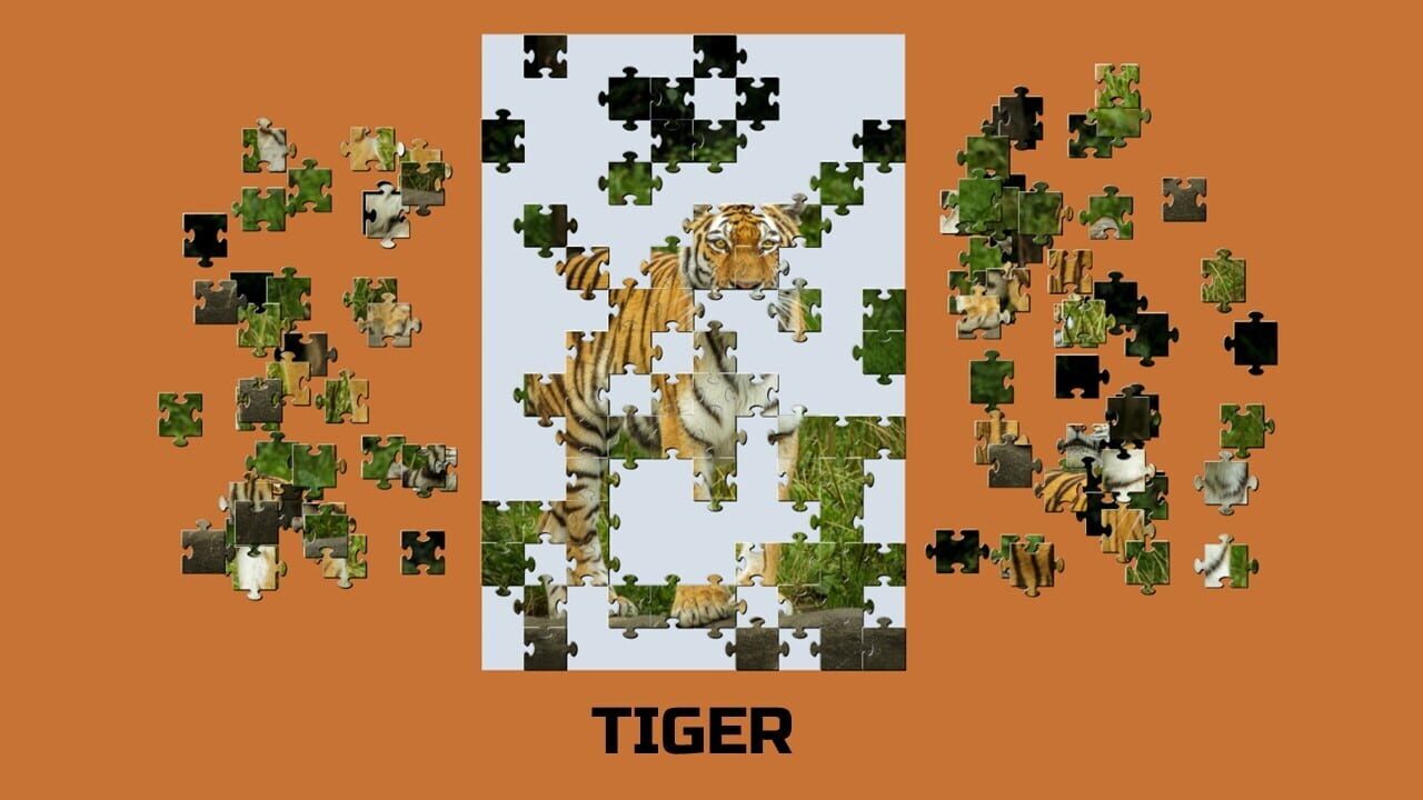 Learning jigsaw: Animals