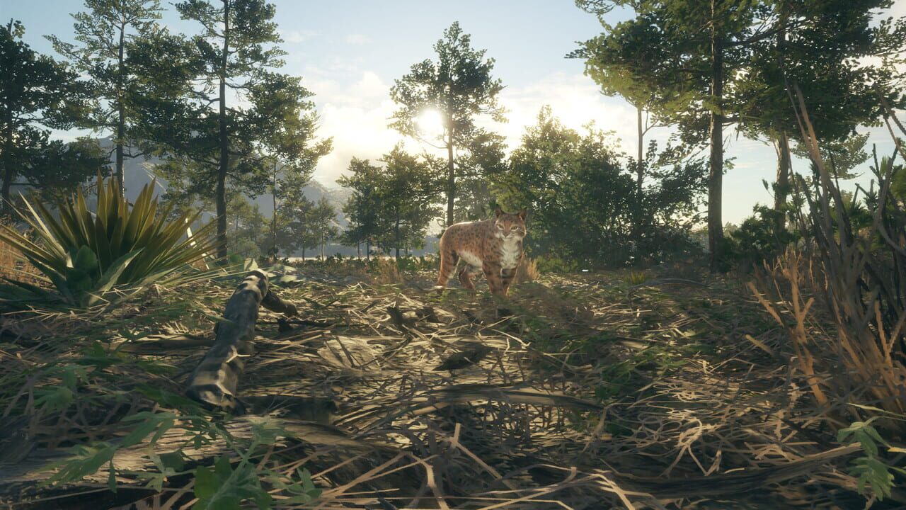 TheHunter: Call of the Wild – Rancho del Arroyo
