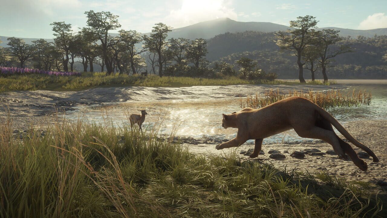 TheHunter: Call of the Wild – Parque Fernando